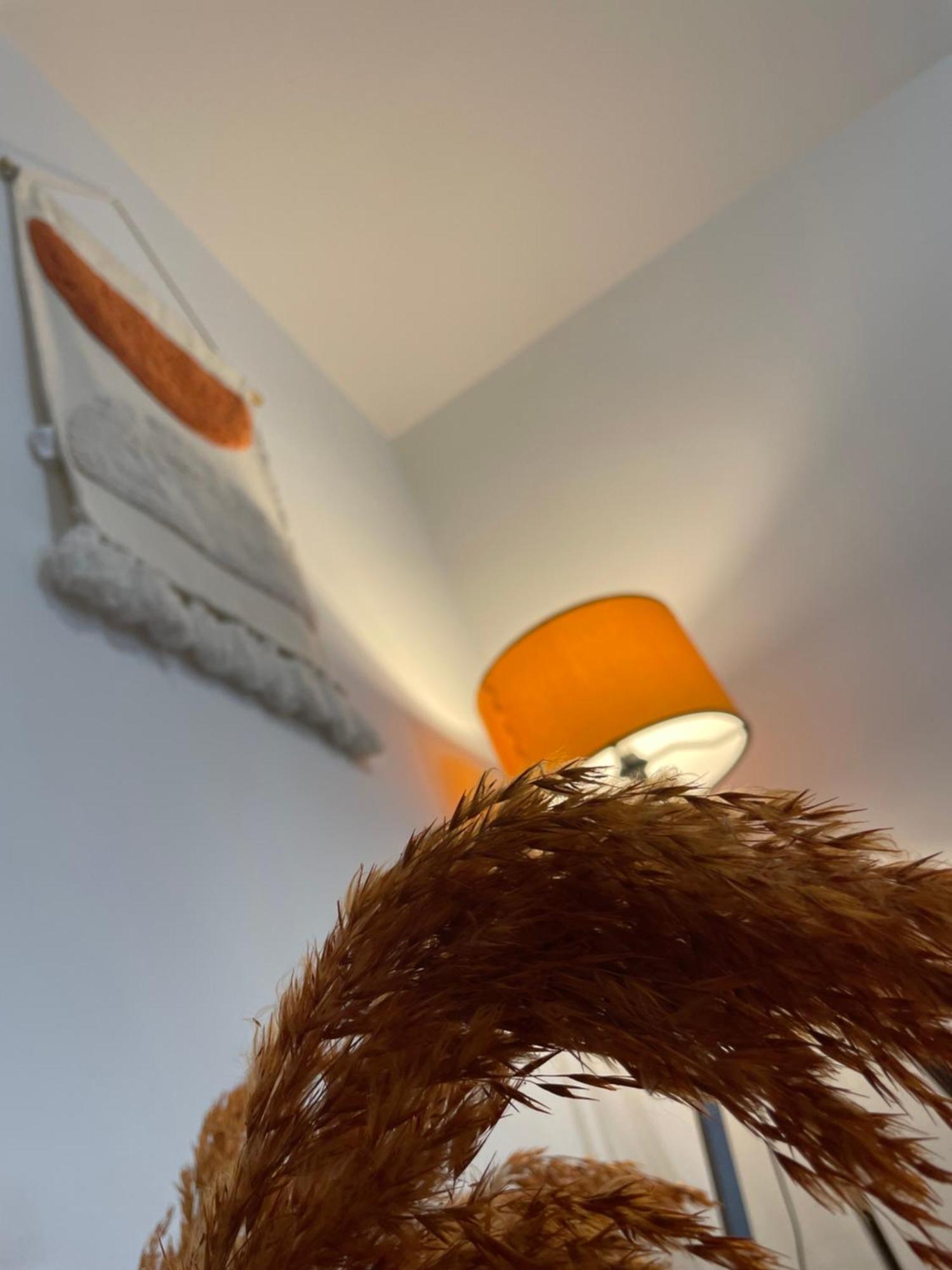 Apartmani Danica نيغيزيني المظهر الخارجي الصورة
