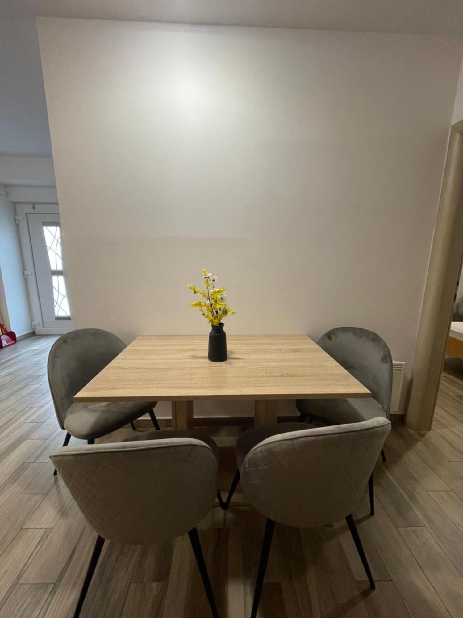 Apartmani Danica نيغيزيني المظهر الخارجي الصورة