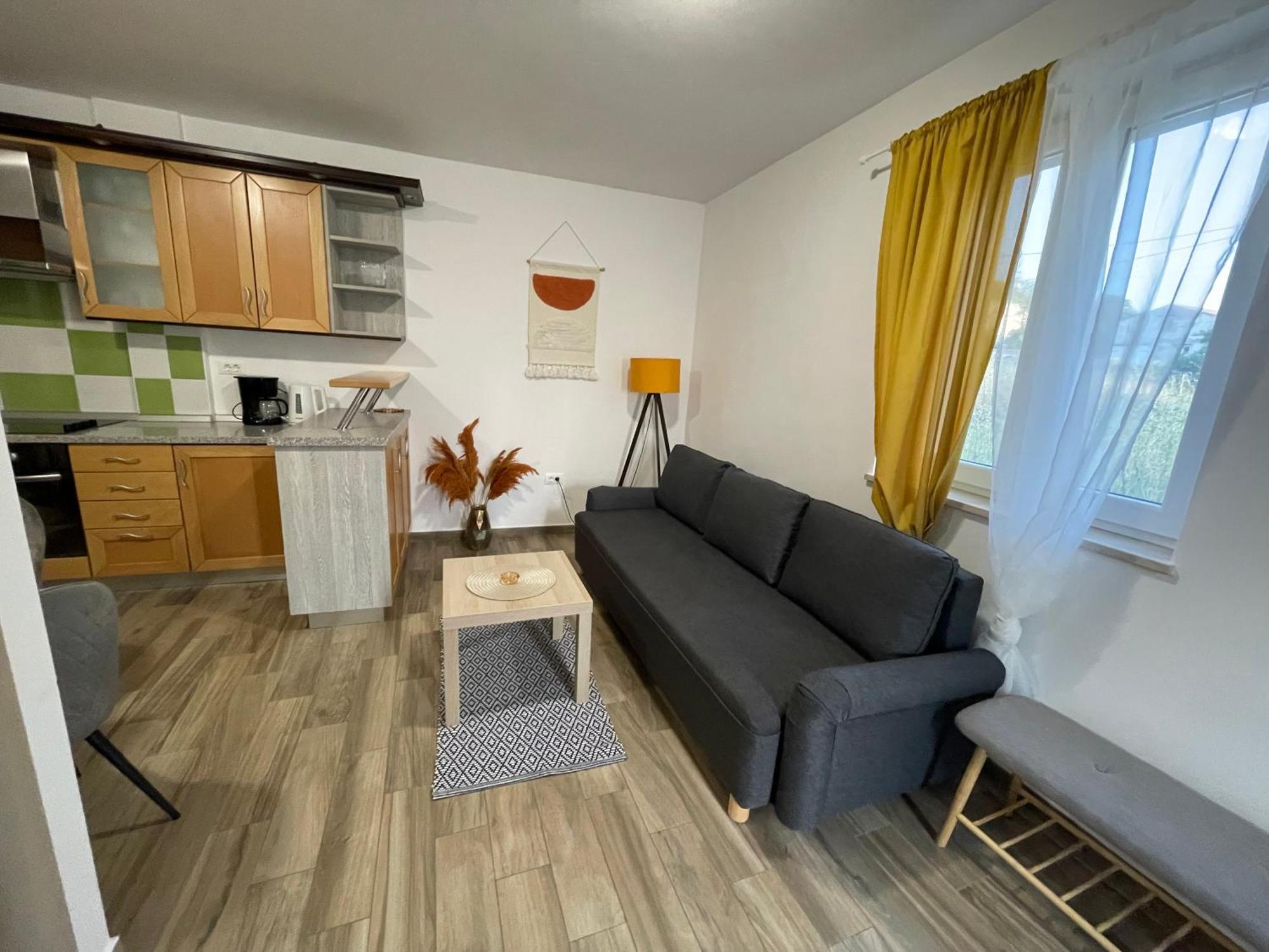 Apartmani Danica نيغيزيني المظهر الخارجي الصورة