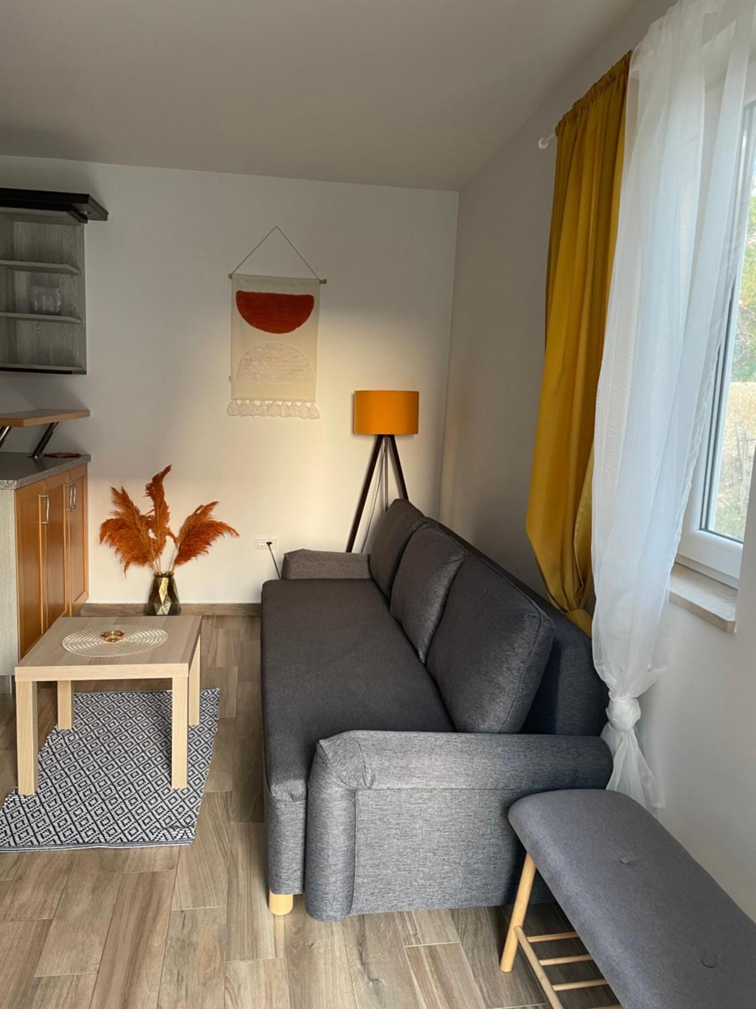 Apartmani Danica نيغيزيني المظهر الخارجي الصورة